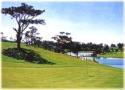 DREAM LIKE DALAT